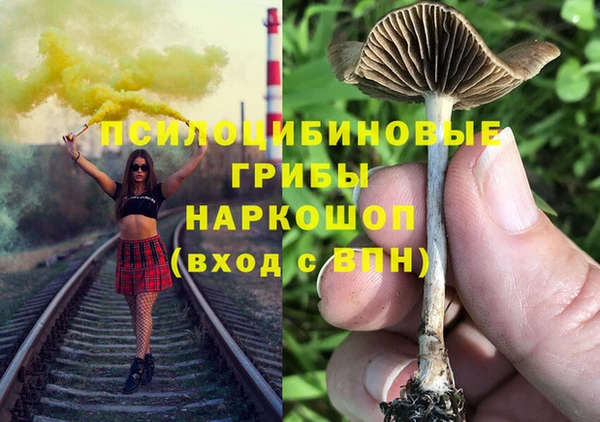 молекула духа Алексеевка