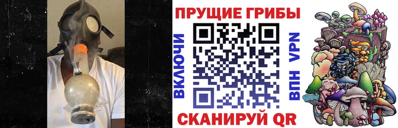 закладка  Комсомольск  Псилоцибиновые грибы Cubensis 